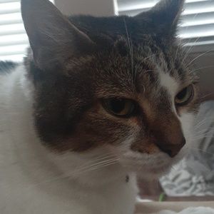 Meet your Posher, Cj